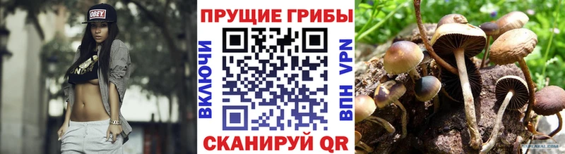 продажа наркотиков  Кукмор  Галлюциногенные грибы мухоморы 